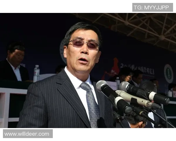 深度对话杨丽揭秘她的足球人生与梦想追逐之路