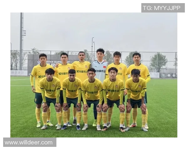 西安足球队个人能力分析及其对比赛表现的影响探讨