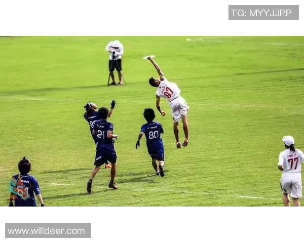 武汉飞盘队创历史新高飞盘速度排名引发热议与关注