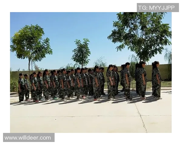 陈磊畅谈王者荣耀职业生涯的成长与挑战分享