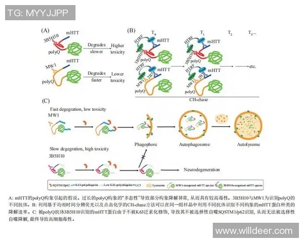 武汉街舞队状态深度对比分析及未来发展趋势探讨