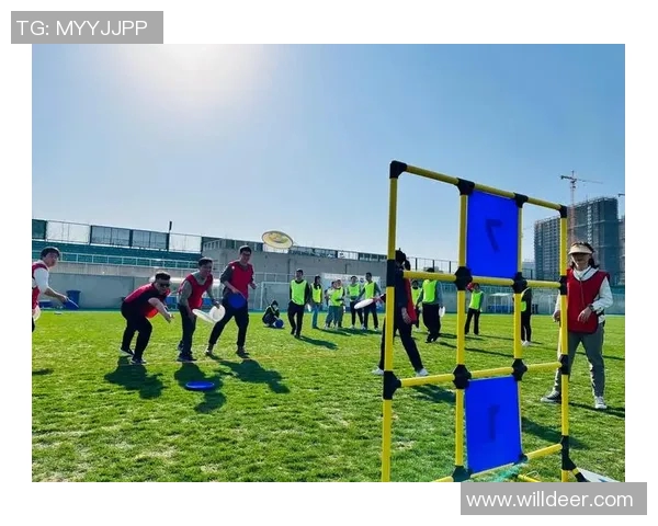 飞盘力量新高杭州飞盘队展现实力引领全国赛场风潮