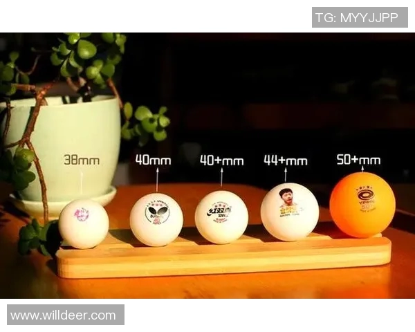 乒乓球新手必看：从零基础到实力提升的全面攻略与技巧分享