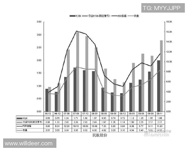 西安羽毛球队防守策略分析与比赛表现评估探讨