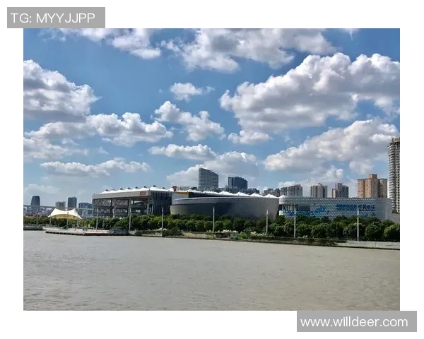 上海羽毛球队转型纪实：从传统到现代的奋斗与蜕变之路