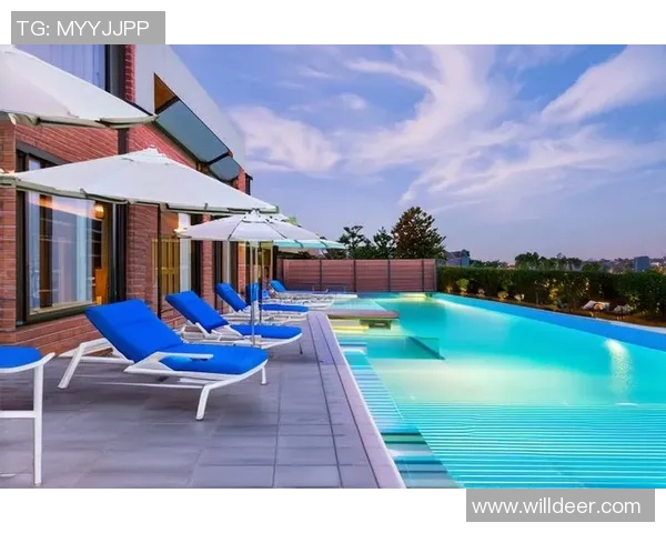 现代泳池设计理念与创新元素探索打造舒适与美观并存的水域空间